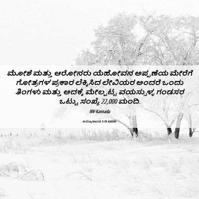 Picture 06 - ಅರಣ್ಯಕಾಂಡ 3:39 KANIRV - ಮೋಶೆ ಮತ್ತು ಆರೋನರು - Bible Verse Picture