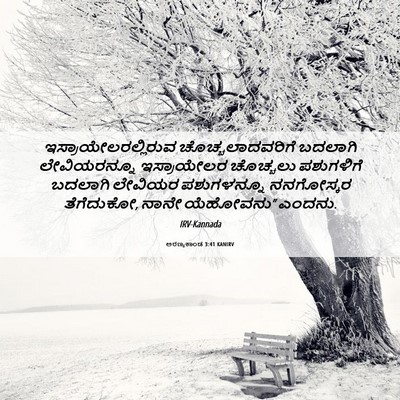 Picture 06 - ಅರಣ್ಯಕಾಂಡ 3:41 KANIRV - ಇಸ್ರಾಯೇಲರಲ್ಲಿರುವ - Bible Verse Picture