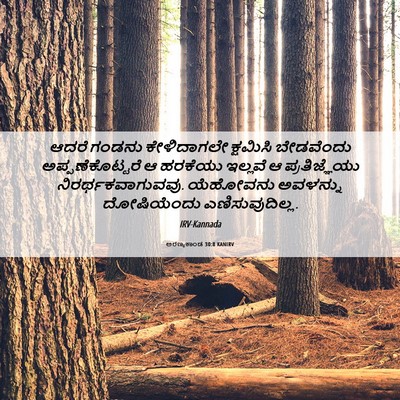 Picture 06 - ಅರಣ್ಯಕಾಂಡ 30:8 KANIRV - ಆದರೆ ಗಂಡನು - Bible Verse Picture