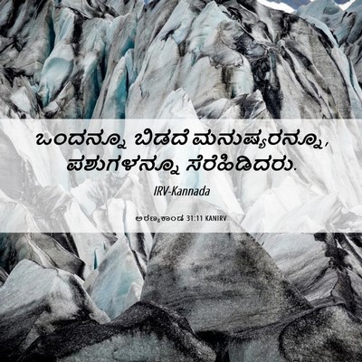Picture 06 - ಅರಣ್ಯಕಾಂಡ 31:11 KANIRV - ಒಂದನ್ನೂ ಬಿಡದೆ - Bible Verse Picture