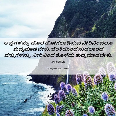 Picture 06 - ಅರಣ್ಯಕಾಂಡ 31:23 KANIRV - ಅವುಗಳನ್ನು ಹೊಲೆ - Bible Verse Picture