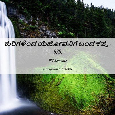 Picture 06 - ಅರಣ್ಯಕಾಂಡ 31:37 KANIRV - ಕುರಿಗಳಿಂದ - Bible Verse Picture