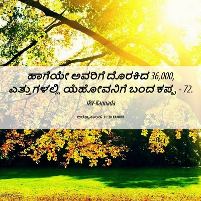 Picture 06 - ಅರಣ್ಯಕಾಂಡ 31:38 KANIRV - ಹಾಗೆಯೇ ಅವರಿಗೆ - Bible Verse Picture