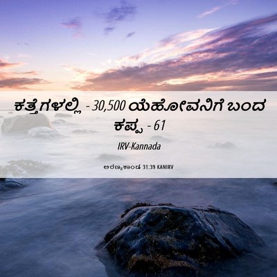 Picture 06 - ಅರಣ್ಯಕಾಂಡ 31:39 KANIRV - ಕತ್ತೆಗಳಲ್ಲಿ - 30,500 - Bible Verse Picture