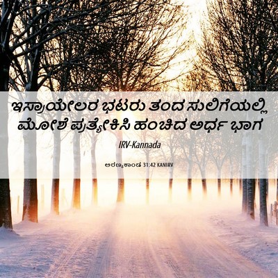 Picture 06 - ಅರಣ್ಯಕಾಂಡ 31:42 KANIRV - ಇಸ್ರಾಯೇಲರ ಭಟರು - Bible Verse Picture