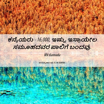 Picture 06 - ಅರಣ್ಯಕಾಂಡ 31:46 KANIRV - ಕನ್ಯೆಯರು - 16,000, - Bible Verse Picture