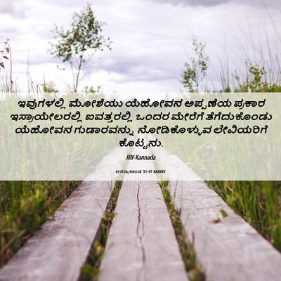 Picture 06 - ಅರಣ್ಯಕಾಂಡ 31:47 KANIRV - ಇವುಗಳಲ್ಲಿ ಮೋಶೆಯು - Bible Verse Picture