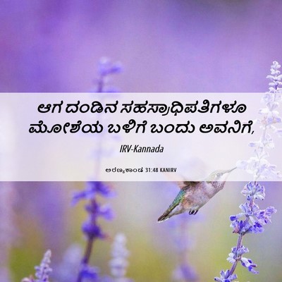 Picture 06 - ಅರಣ್ಯಕಾಂಡ 31:48 KANIRV - ಆಗ ದಂಡಿನ - Bible Verse Picture