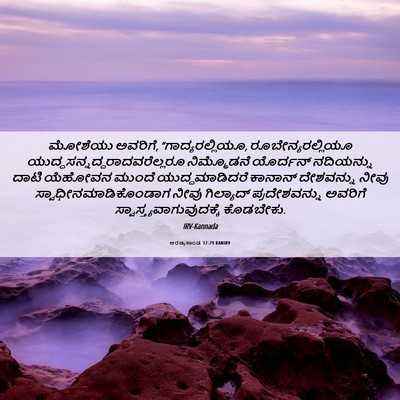 Picture 06 - ಅರಣ್ಯಕಾಂಡ 32:29 KANIRV - ಮೋಶೆಯು ಅವರಿಗೆ, - Bible Verse Picture
