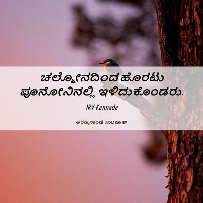 Picture 06 - ಅರಣ್ಯಕಾಂಡ 33:42 KANIRV - ಚಲ್ಮೋನದಿಂದ ಹೊರಟು - Bible Verse Picture