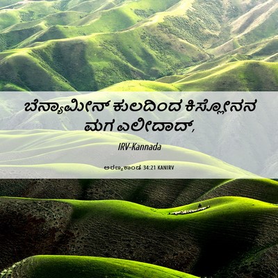 Picture 06 - ಅರಣ್ಯಕಾಂಡ 34:21 KANIRV - ಬೆನ್ಯಾಮೀನ್ - Bible Verse Picture