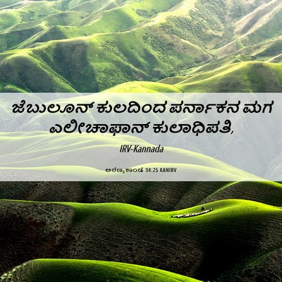 Picture 06 - ಅರಣ್ಯಕಾಂಡ 34:25 KANIRV - ಜೆಬುಲೂನ್ ಕುಲದಿಂದ - Bible Verse Picture