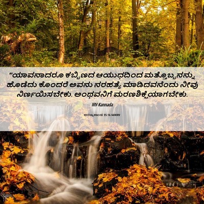 Picture 06 - ಅರಣ್ಯಕಾಂಡ 35:16 KANIRV - “‘ಯಾವನಾದರೂ - Bible Verse Picture
