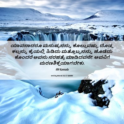 Picture 06 - ಅರಣ್ಯಕಾಂಡ 35:17 KANIRV - ಯಾವನಾದರೂ - Bible Verse Picture