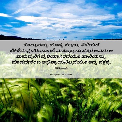 Picture 06 - ಅರಣ್ಯಕಾಂಡ 35:23 KANIRV - ಕೊಲ್ಲುವಷ್ಟು ದೊಡ್ಡ - Bible Verse Picture