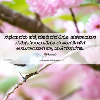 Picture 06 - ಅರಣ್ಯಕಾಂಡ 35:24 KANIRV - ಸಭೆಯವರು - Bible Verse Picture
