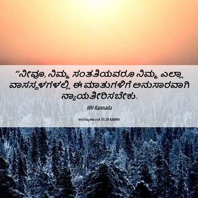 Picture 06 - ಅರಣ್ಯಕಾಂಡ 35:29 KANIRV - “‘ನೀವೂ, ನಿಮ್ಮ - Bible Verse Picture