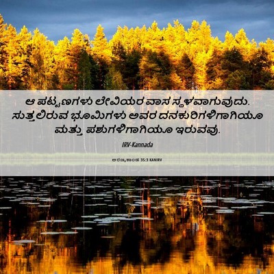 Picture 06 - ಅರಣ್ಯಕಾಂಡ 35:3 KANIRV - ಆ ಪಟ್ಟಣಗಳು ಲೇವಿಯರ - Bible Verse Picture