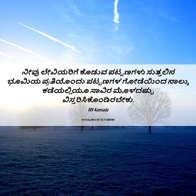 Picture 06 - ಅರಣ್ಯಕಾಂಡ 35:4 KANIRV - ನೀವು ಲೇವಿಯರಿಗೆ - Bible Verse Picture