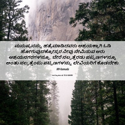 Picture 06 - ಅರಣ್ಯಕಾಂಡ 35:6 KANIRV - ಮನುಷ್ಯನನ್ನು - Bible Verse Picture