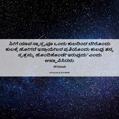 Picture 06 - ಅರಣ್ಯಕಾಂಡ 36:9 KANIRV - ಹೀಗೆ ಯಾವ - Bible Verse Picture