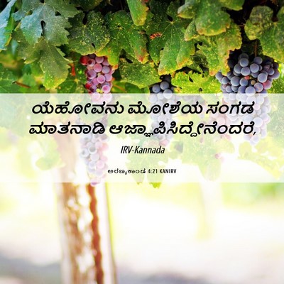 Picture 06 - ಅರಣ್ಯಕಾಂಡ 4:21 KANIRV - ಯೆಹೋವನು ಮೋಶೆಯ - Bible Verse Picture