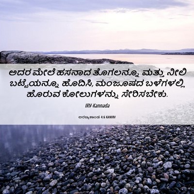 Picture 06 - ಅರಣ್ಯಕಾಂಡ 4:6 KANIRV - ಅದರ ಮೇಲೆ ಹಸನಾದ - Bible Verse Picture