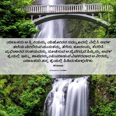 Picture 06 - ಅರಣ್ಯಕಾಂಡ 5:18 KANIRV - ಯಾಜಕನು ಆ - Bible Verse Picture