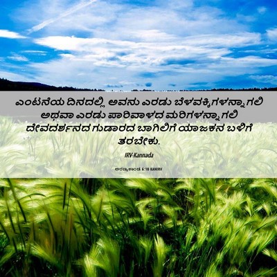 Picture 06 - ಅರಣ್ಯಕಾಂಡ 6:10 KANIRV - ಎಂಟನೆಯ ದಿನದಲ್ಲಿ - Bible Verse Picture