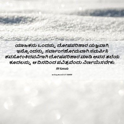 Picture 06 - ಅರಣ್ಯಕಾಂಡ 6:11 KANIRV - ಯಾಜಕನು ಒಂದನ್ನು - Bible Verse Picture