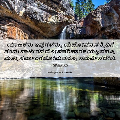 Picture 06 - ಅರಣ್ಯಕಾಂಡ 6:16 KANIRV - ಯಾಜಕನು ಇವುಗಳನ್ನು - Bible Verse Picture