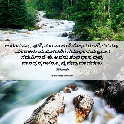 Picture 06 - ಅರಣ್ಯಕಾಂಡ 6:17 KANIRV - ಆ ಟಗರನ್ನೂ, ಪುಟ್ಟಿ - Bible Verse Picture