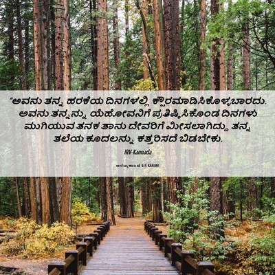 Picture 06 - ಅರಣ್ಯಕಾಂಡ 6:5 KANIRV - “ಅವನು ತನ್ನ ಹರಕೆಯ - Bible Verse Picture