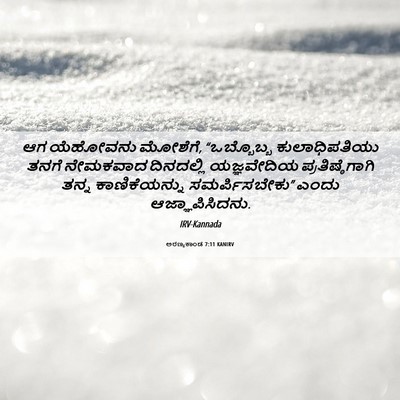 Picture 06 - ಅರಣ್ಯಕಾಂಡ 7:11 KANIRV - ಆಗ ಯೆಹೋವನು ಮೋಶೆಗೆ, - Bible Verse Picture