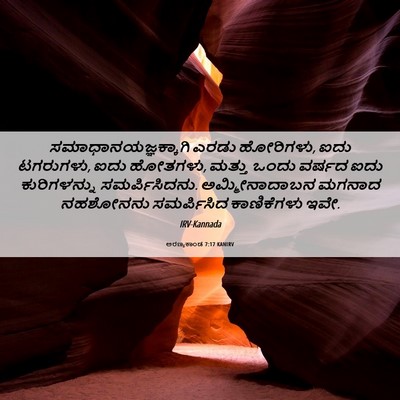 Picture 06 - ಅರಣ್ಯಕಾಂಡ 7:17 KANIRV - ಸಮಾಧಾನಯಜ್ಞಕ್ಕಾಗಿ - Bible Verse Picture