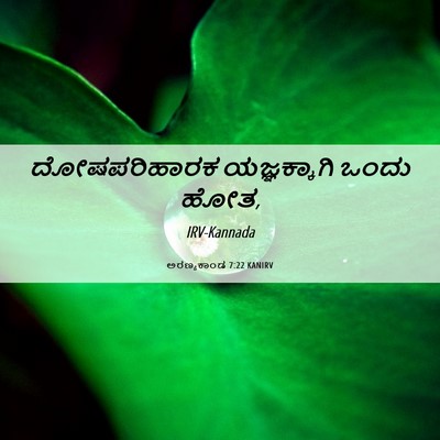 Picture 06 - ಅರಣ್ಯಕಾಂಡ 7:22 KANIRV - ದೋಷಪರಿಹಾರಕ - Bible Verse Picture