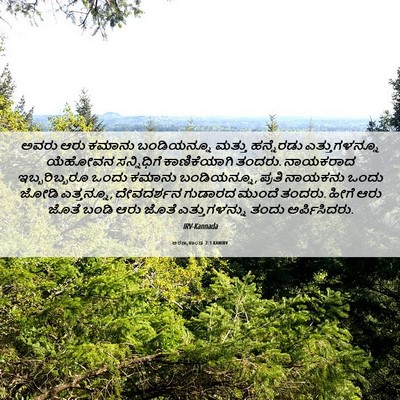 Picture 06 - ಅರಣ್ಯಕಾಂಡ 7:3 KANIRV - ಅವರು ಆರು ಕಮಾನು - Bible Verse Picture