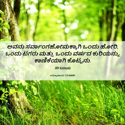 Picture 06 - ಅರಣ್ಯಕಾಂಡ 7:33 KANIRV - ಅವನು - Bible Verse Picture