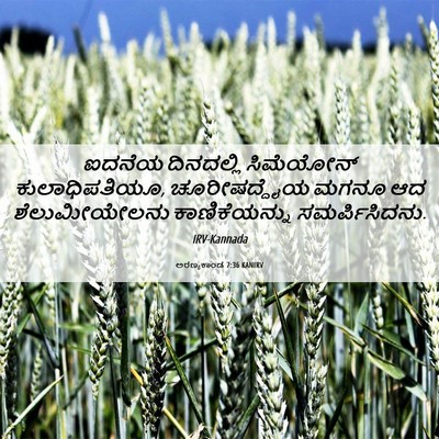 Picture 06 - ಅರಣ್ಯಕಾಂಡ 7:36 KANIRV - ಐದನೆಯ ದಿನದಲ್ಲಿ - Bible Verse Picture