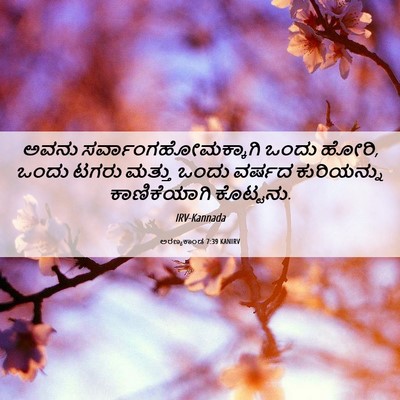 Picture 06 - ಅರಣ್ಯಕಾಂಡ 7:39 KANIRV - ಅವನು - Bible Verse Picture