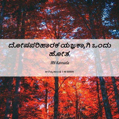 Picture 06 - ಅರಣ್ಯಕಾಂಡ 7:40 KANIRV - ದೋಷಪರಿಹಾರಕ - Bible Verse Picture