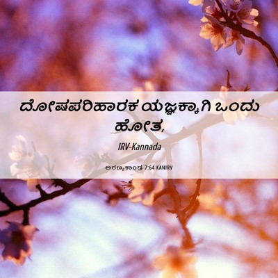 Picture 06 - ಅರಣ್ಯಕಾಂಡ 7:64 KANIRV - ದೋಷಪರಿಹಾರಕ - Bible Verse Picture