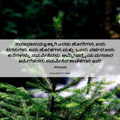 Picture 06 - ಅರಣ್ಯಕಾಂಡ 7:71 KANIRV - ಸಮಾಧಾನಯಜ್ಞಕ್ಕಾಗಿ - Bible Verse Picture
