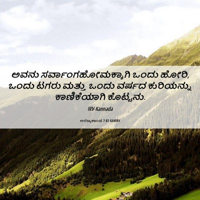 Picture 06 - ಅರಣ್ಯಕಾಂಡ 7:81 KANIRV - ಅವನು - Bible Verse Picture