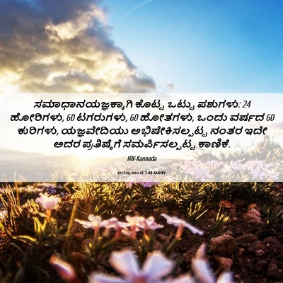 Picture 06 - ಅರಣ್ಯಕಾಂಡ 7:88 KANIRV - ಸಮಾಧಾನಯಜ್ಞಕ್ಕಾಗಿ - Bible Verse Picture