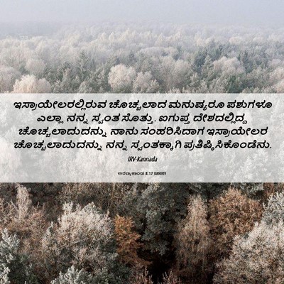 Picture 06 - ಅರಣ್ಯಕಾಂಡ 8:17 KANIRV - ಇಸ್ರಾಯೇಲರಲ್ಲಿರುವ - Bible Verse Picture