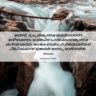 Picture 06 - ಅರಣ್ಯಕಾಂಡ 9:12 KANIRV - ಅದರಲ್ಲಿ - Bible Verse Picture