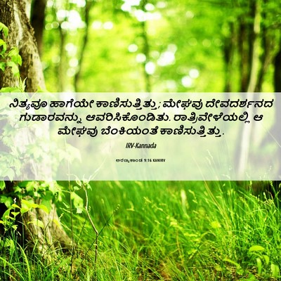 Picture 06 - ಅರಣ್ಯಕಾಂಡ 9:16 KANIRV - ನಿತ್ಯವೂ ಹಾಗೆಯೇ - Bible Verse Picture