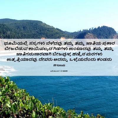 Picture 06 - ಆದಿಕಾಂಡ 1:12 KANIRV - ಭೂಮಿಯಲ್ಲಿ ಸಸ್ಯಗಳು - Bible Verse Picture