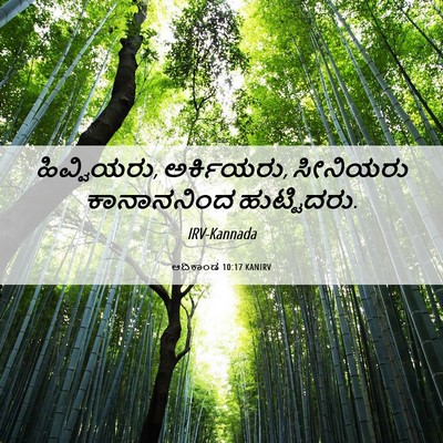 Picture 06 - ಆದಿಕಾಂಡ 10:17 KANIRV - ಹಿವ್ವಿಯರು, - Bible Verse Picture